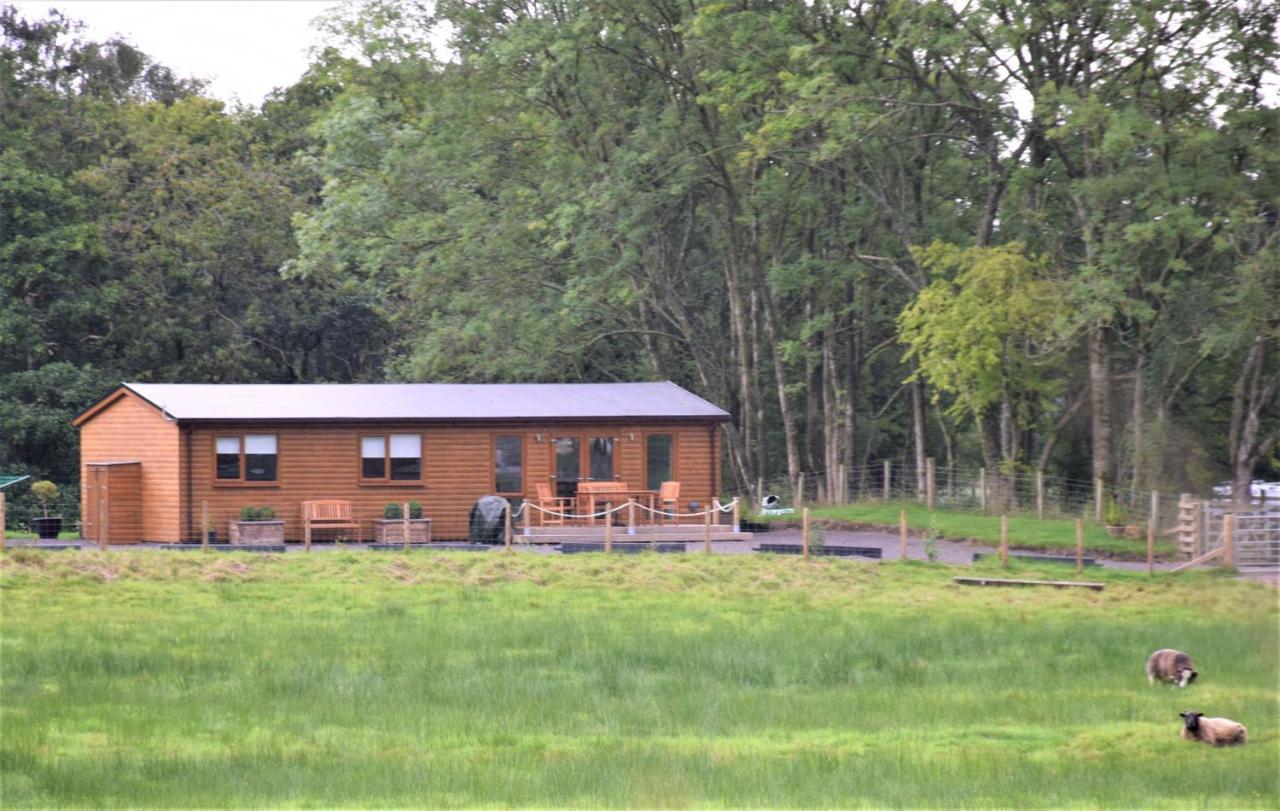 Ridge View Lodge 덤프리스 외부 사진