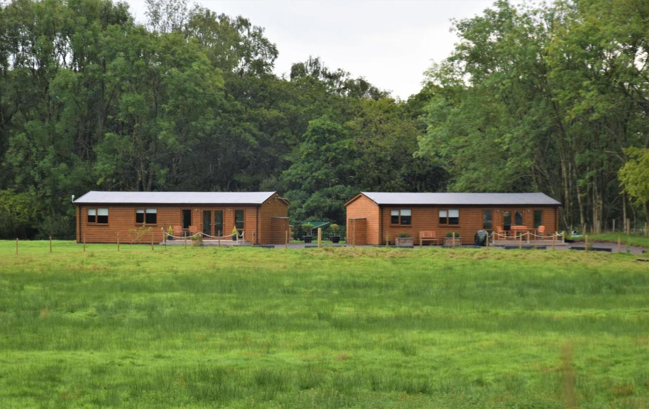 Ridge View Lodge 덤프리스 외부 사진